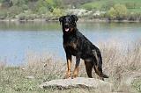 BEAUCERON 625